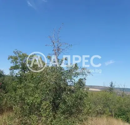 Photo 3 — Plot in Oblast Dobrich, Kranevo