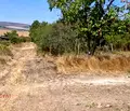 Снимка 5 — Парцел в Добрич, с. Кранево