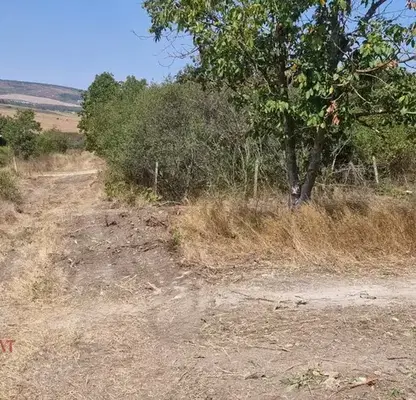 Photo 5 — Plot in Oblast Dobrich, Kranevo