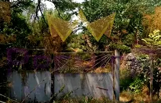 Парцел в Добрич, с. Крушари