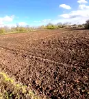 Парцел в Добрич, с. Лясково