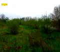 Снимка 3 — Парцел в Добрич, с. Методиево