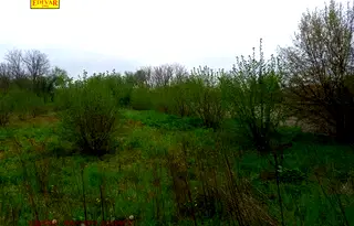 Парцел в Добрич, с. Методиево