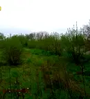 Парцел в Добрич, с. Методиево