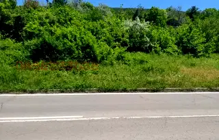Парцел в Добрич, с. Оброчище