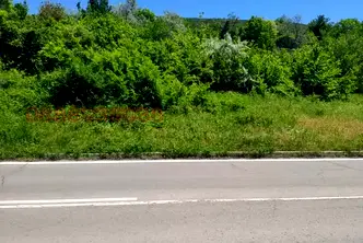 Парцел в Добрич, с. Оброчище