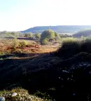 Парцел в Добрич, с. Оброчище