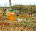 Снимка 5 — Парцел в Добрич, с. Оброчище