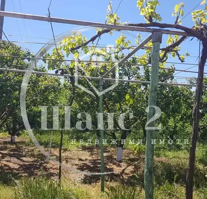 Photo 3 — Plot in Oblast Dobrich, Paskalevo
