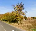 Снимка 2 — Парцел в Добрич, с. Паскалево