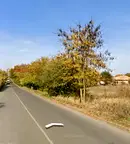 Парцел в Добрич, с. Паскалево