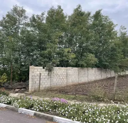 Снимка 2 — Парцел в Добрич, с. Полковник Свещарово