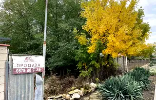 Парцел в Добрич, с. Полковник Свещарово