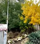 Парцел в Добрич, с. Полковник Свещарово