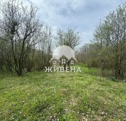 Снимка 2 — Парцел в Добрич, с. Преселенци