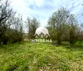 Снимка 3 — Парцел в Добрич, с. Преселенци