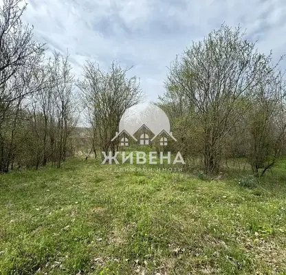 Снимка 3 — Парцел в Добрич, с. Преселенци