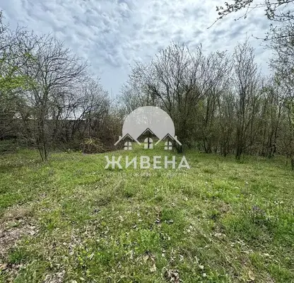 Снимка 4 — Парцел в Добрич, с. Преселенци
