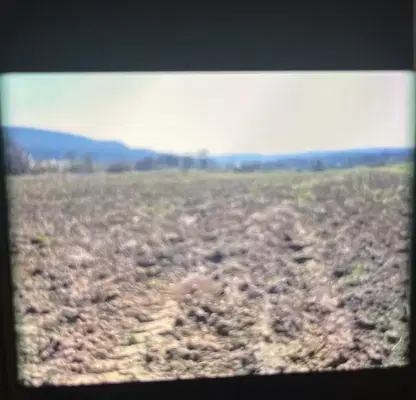 Photo 3 — Plot in Oblast Dobrich, Prilep