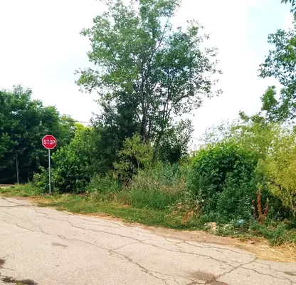 Photo 2 — Plot in Oblast Dobrich, Rakovski