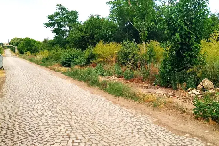 Парцел в Добрич, с. Раковски