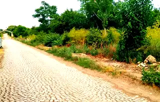 Парцел в Добрич, с. Раковски