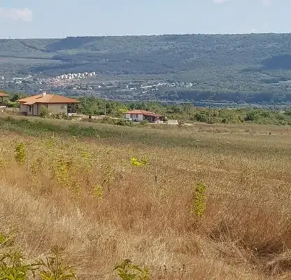 Снимка 4 — Парцел в Добрич, с. Рогачево