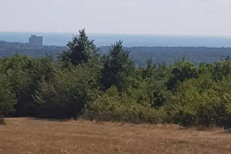 Парцел в Добрич, с. Рогачево
