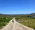 Снимка 5 — Парцел в Добрич, с. Рогачево