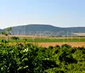 Снимка 5 — Парцел в Добрич, с. Рогачево