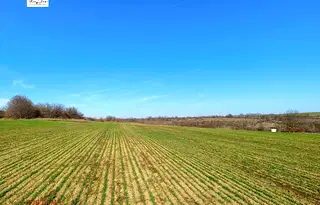 Парцел в Добрич, с. Рогачево