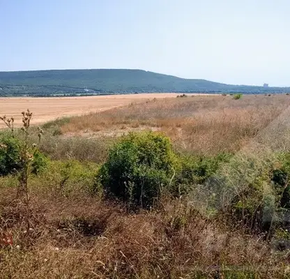Photo 3 — Plot in Oblast Dobrich, Rogachevo