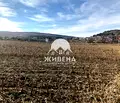 Снимка 5 — Парцел в Добрич, с. Рогачево