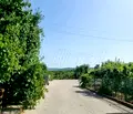 Снимка 3 — Парцел в Добрич, с. Рогачево