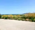 Снимка 4 — Парцел в Добрич, с. Рогачево