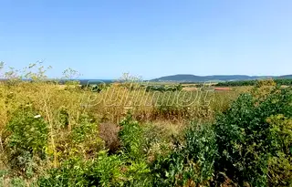 Парцел в Добрич, с. Рогачево