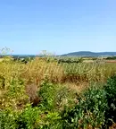 Парцел в Добрич, с. Рогачево