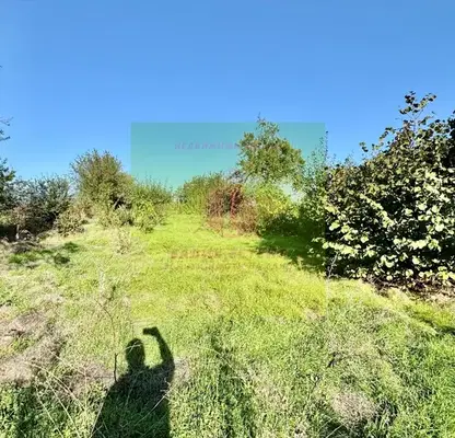 Photo 5 — Plot in Dobrich, Slaveevo