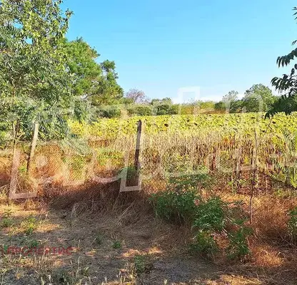 Photo 4 — Plot in Oblast Dobrich, Smin