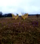 Парцел в Добрич, с. Соколово