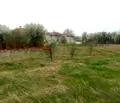 Снимка 3 — Парцел в Добрич, с. Соколово