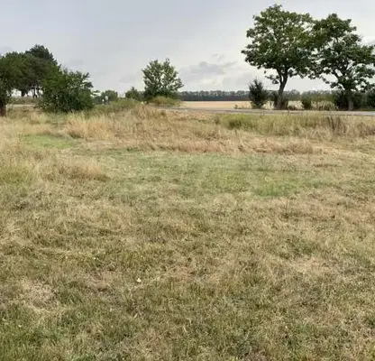 Photo 5 — Plot in Oblast Dobrich, Sokolovo