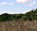 Снимка 4 — Парцел в Добрич, с. Стаевци