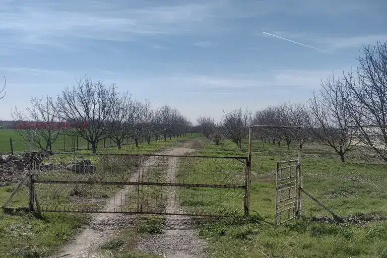 Plot in Oblast Dobrich, Stefanovo