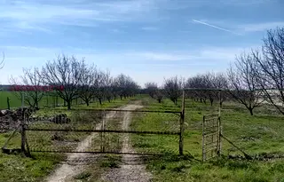 Парцел в Добрич, с. Стефаново