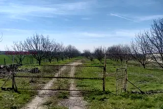 Парцел в Добрич, с. Стефаново