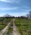 Парцел в Добрич, с. Стефаново