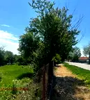 Парцел в Добрич, с. Стожер