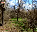Снимка 3 — Парцел в Добрич, с. Свобода
