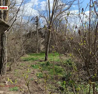 Снимка 3 — Парцел в Добрич, с. Свобода